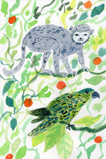 Parrot and Monkey Watercolor-Olivia Wendel